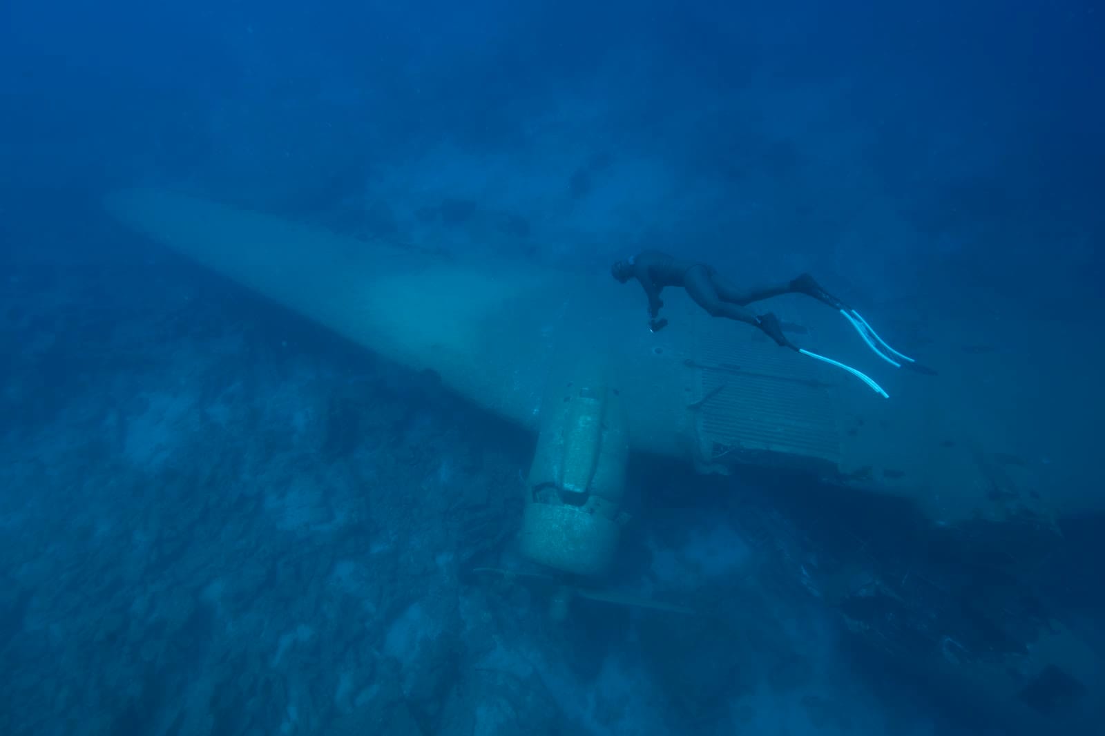 Deux apnéistes au-dessus de l'épave d'avion